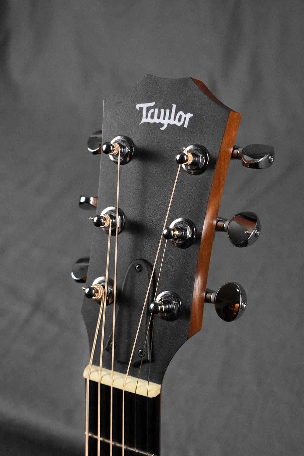 2014 Taylor GS Mini