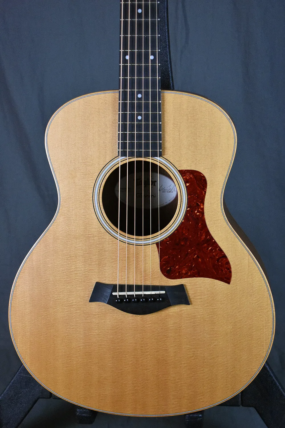 2014 Taylor GS Mini