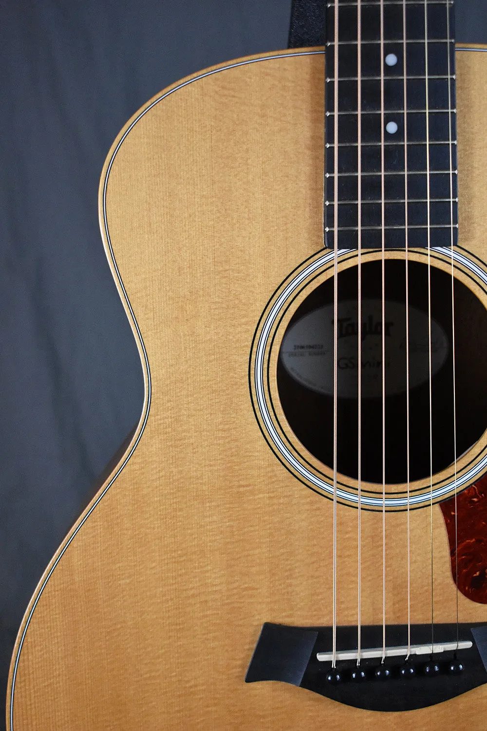 2014 Taylor GS Mini